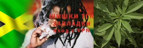 стаф Абаза
