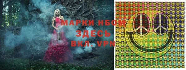 стафф Алексин